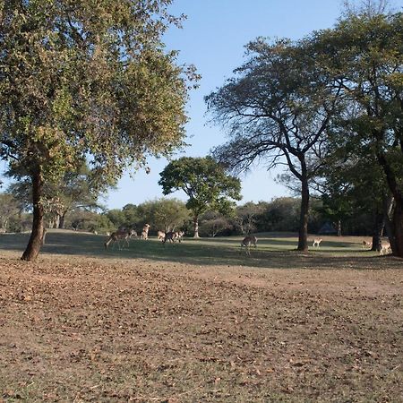 האזיביו Kruger Park Lodge Unit 245 מראה חיצוני תמונה