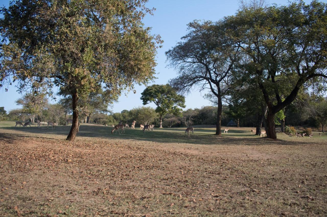 האזיביו Kruger Park Lodge Unit 245 מראה חיצוני תמונה